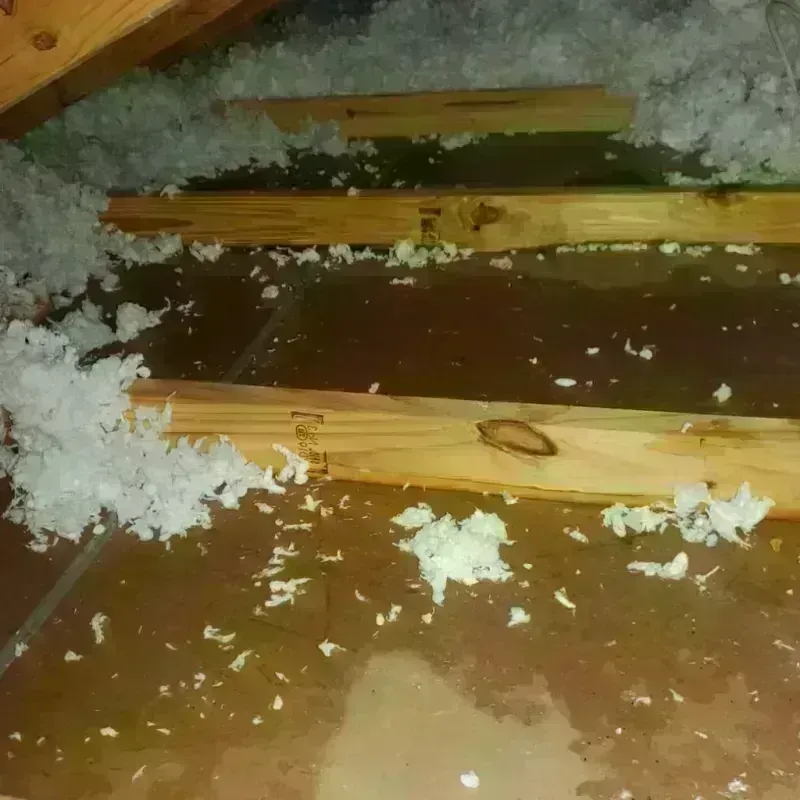 Attic Water Damage in Southeast Arcadia, FL