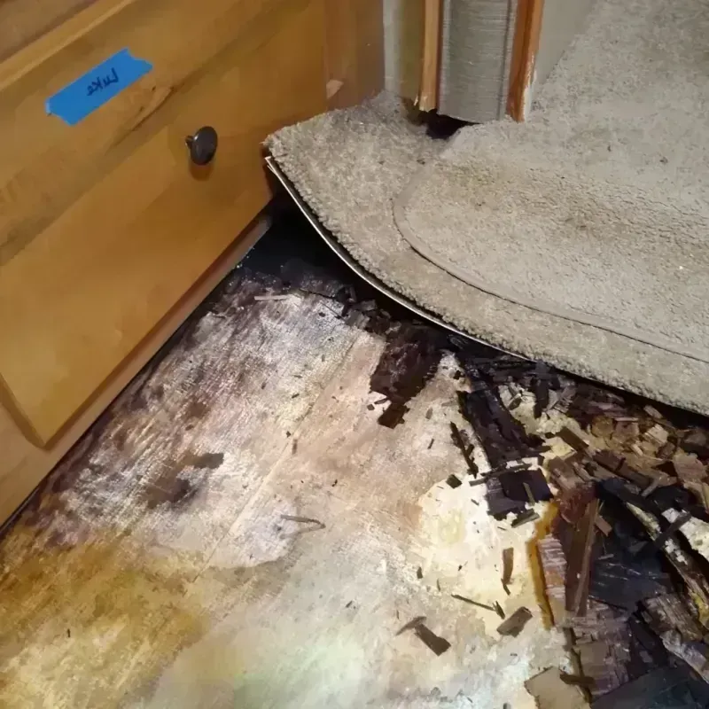 Best Wood Floor Water Damage Service in Southeast Arcadia, FL